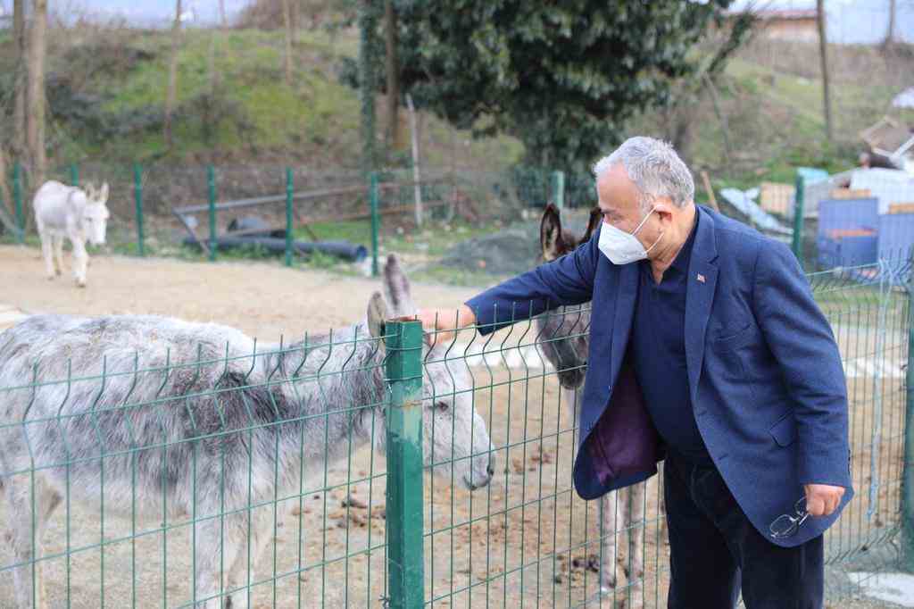 CAN DOSTLAR İÇİN MODERN HASTANE